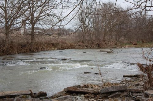 Property photo 18 - ABSOLUTE AUCTION - 298 Acres Offered in 4 Tracts